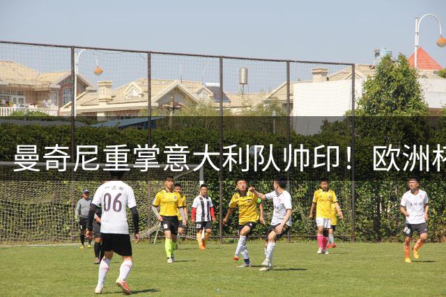 曼奇尼重掌意大利队帅印！欧洲杯冠军教头能否再造奇迹？
